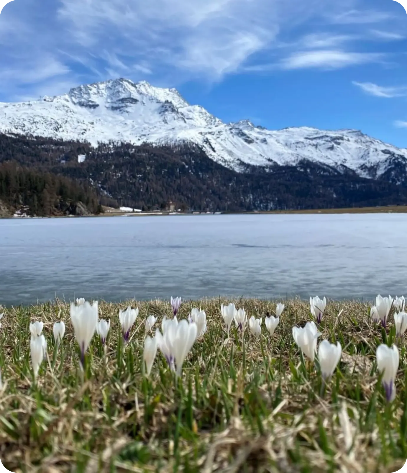 st moritz Aktivitäten