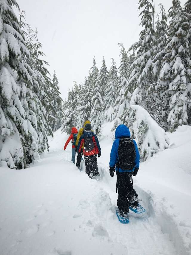 Snowshoeing