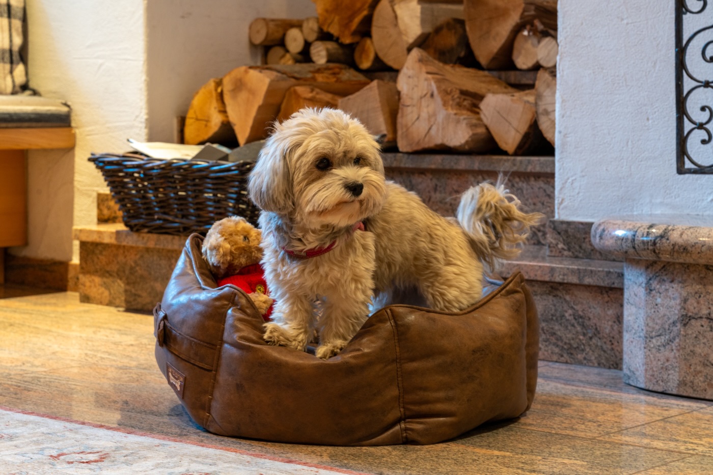 Hundefreundliches Hotel in St. Moritz